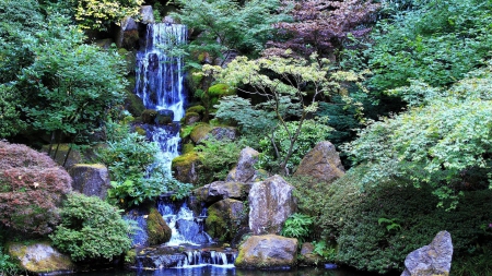 wonderful cascading waterfall - cascade, waterfall, bushes, rocks