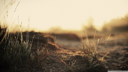 Dirt and wet - fall, wallpaper, rain, abstract, hd, grass, drops, photography, fields, nature, autumn