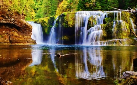 Forest fall - calm, quiet, forest, reflection, paradise, nice, place, falling, greenery, trees, water, beautiful, lovely, fall, nature, waterfall, autumn, serenity, rocks, silent