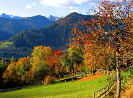 Austrian autumn landscape - nice, autumn, sky, slope, trees, path, cottages, foliage, mountainscape, fall, view, pretty, walk, grass, houses, fence, landscape, falling, mountain, peaks, lovely, peak, village, beautiful, rest, leaves, colors, austria