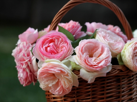 A basket of pinkâ™¥ - pink roses, popular, roses, photography, wallpaper, basket, nature, abstract, pink, peony, flowers