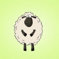 SHeep