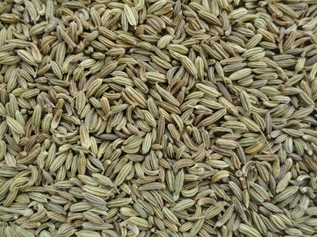 Fennel Seeds - fennel, nature, seed, seeds