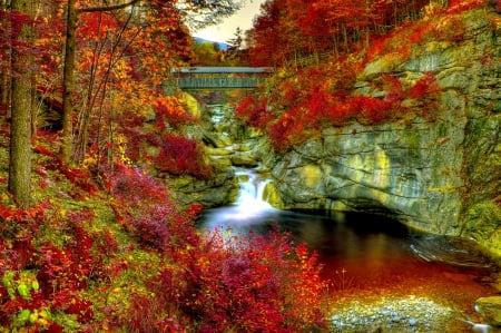 AUTUMN PARK - park, fall, new hampshire, state