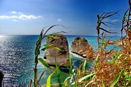 ROCK FORMATION - HDR, rock, landscape, sea, plant