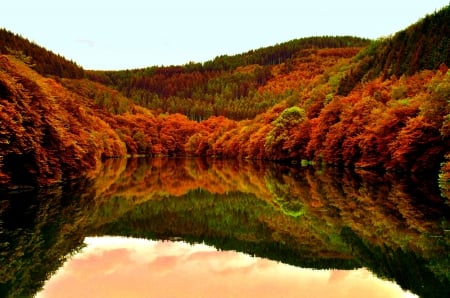 AUTUMN LAKE - autumn, landscape, Lake, forest, tree