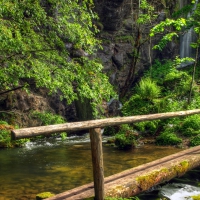 log bridge over mountain falls