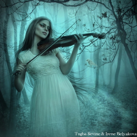 Melody of Solitude - melody, fantasy, lady, violin