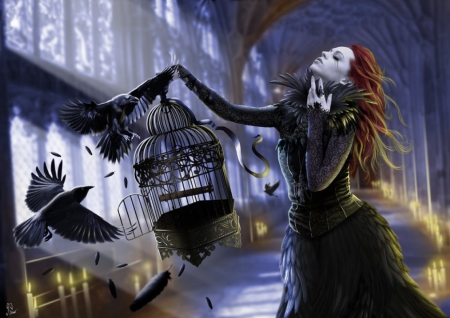 Fantasy - abstract, cage, fantasy, lady, ravens