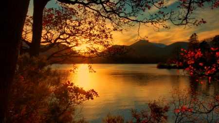 Autumn sunset - sundown, reflection, leaves, mountain, shore, view, lake, nice, falling, branches, trees, beautiful, lovely, orange, fall, river, nature, sunset