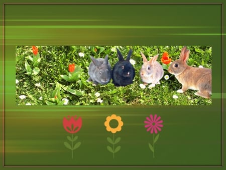 Bunnies for Karen (jandkk) - nature, bunnies, tulips, summer, bunny, grass, garden, spring