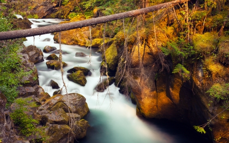 Stream - stream, nature, water, river