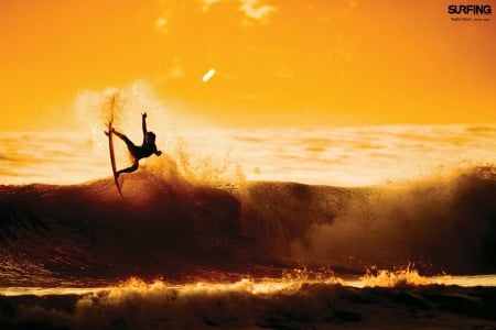 Surfer - sports, surf, water, sun