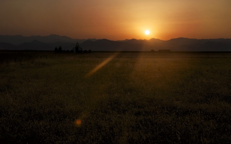 Sunset - nature, sunset, sun, grass