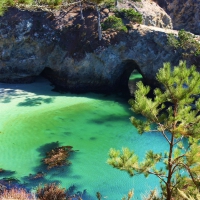 Point Lobos, Big Sur, California