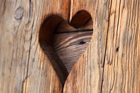 ♥ - door, heart, photography, brown