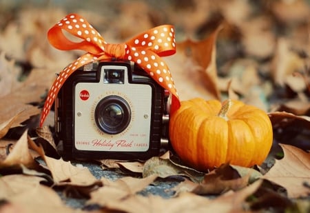 Camera - autumn, pumpkin, nature, autumn colors, woods, camera, forest, leaves, cute