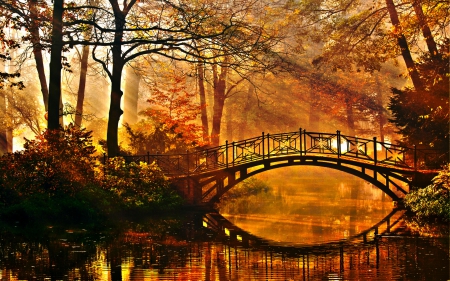 Nature - season, autumn, trees, nature, fall, forest, leaves, tree, colors, bridge