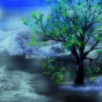 --Green Tree in the Winter--