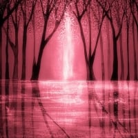 Pink Reflections