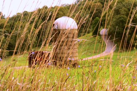 Sunny Morning On The Silo - hill, road, grass, morning, silo, nature, barn, field, country, farm, september