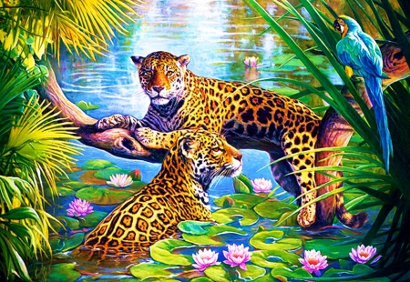 Wild Cats - parrot, artwork, leopards, waterlillies, resting, pond