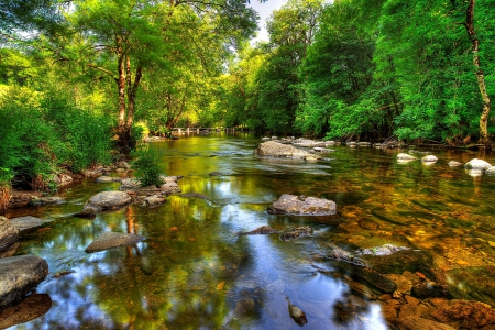 Exmoor, UK - forest, landscape, water, tree, stones