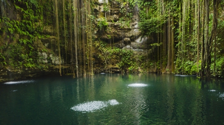 jungle pond - roots, pond, jungle, cliff