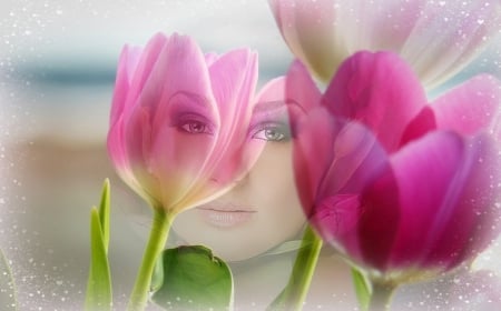 ❀Exquisite Beauty❀ - fragile, beautiful, pink tulips, beauty, lovely, feminine, charming, soft, dreamy