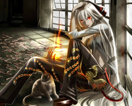 Fujiwara no Mokou - anime, magic, female, light, evil, magical, long hair, fujiwara no mokou, touhou, kitten, fire, creepy, silver hair, anime girl, serious, creep, hot, girl, cat, red eyes, glow, sinister, talisman, sexy, kitty