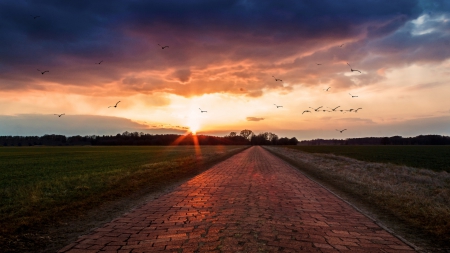 cobblestone Paris–Roubaix road at sunset - birds, sunset, fields, road, cobblestones