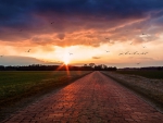 cobblestone Parisâ€“Roubaix road at sunset