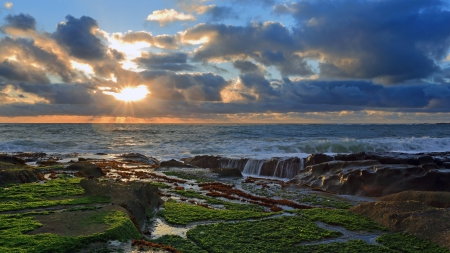 glorious sunset over wonderful seashore - moss, rocks, clouds, sunset, sea, shore