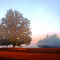 Autumn morning.