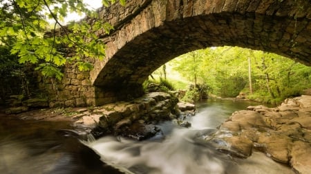 forest stream under stone arch bridge - arch, stream, forest, stones, rocks, bridge