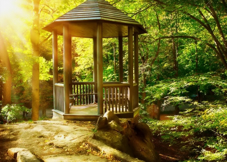 Arbor in autumnal park - quiet, sunny, forest, light, calmness, arbor, garden, gazebo, nice, place, falling, sunlight, beautiful, lovely, rest, fall, glow, nature, season, rays, autumn, serenity, foliage, park, shine