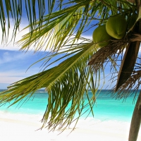 Beach in Fiji