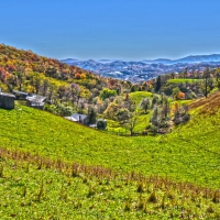 Mountain Valley Landscape