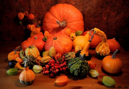 *** Pumpkins *** - nature, autumn, harvest, pumkins, vegetables