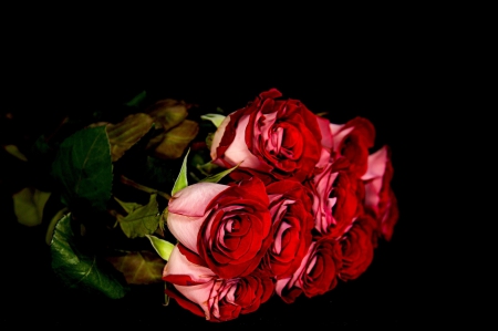 *** Bouquet of roses *** - flowers, red, roses, nature