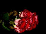 *** Bouquet of roses ***