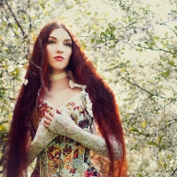 Cherry Blossom Fairy