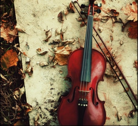 Tribute - leaves, tribute, violin, autumn