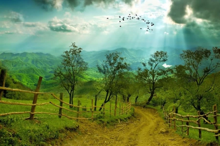 beautiful scenery - trees, heavens, beautiful, scenery, road clearing, meadow, road