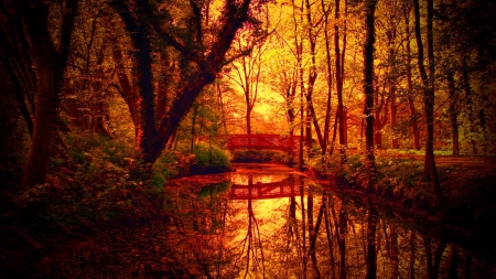 Forest bridge in autumn - pretty, calm, quiet, creek, tranquil, forest, reflection, leaves, red, lake, golden, nice, falling, trees, beautiful, pond, lovely, fall, glow, river, nature, autumn, serenity, foliage, bridge, silent