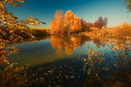 Autumn reflections - falling, quiet, leaves, river, golden, nature, autumn, fall, mirrored, reflections, yellow, serenity, shore, sky, calmness, riverbank, colors, tranquil