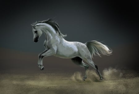 The Horse - free, the, horse, arabian