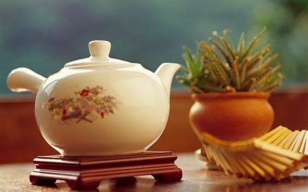 Still life - tea pot, pot, plants, still life