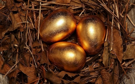 Golden eggs - gold, leaves, brown, eggs