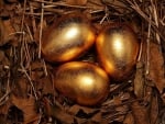 Golden eggs